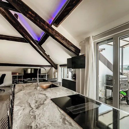 Loft Rooftop In - 3 Terraces Park Ac Bbq Apartment