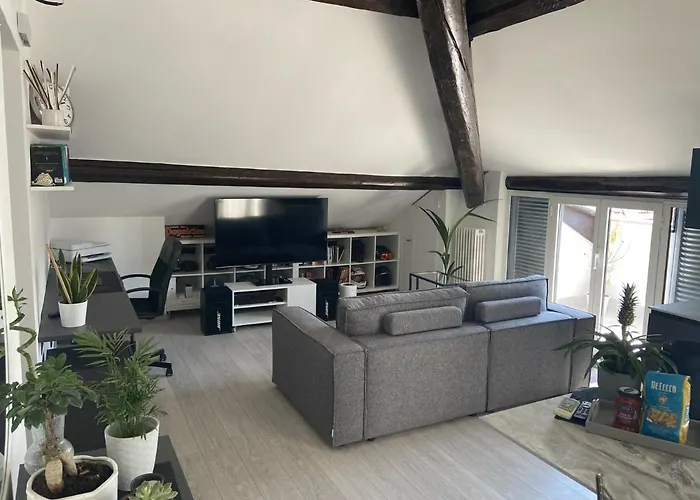 Loft Rooftop In - 3 Terraces Park Ac Bbq *